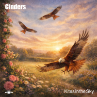 Kites in the Sky cover